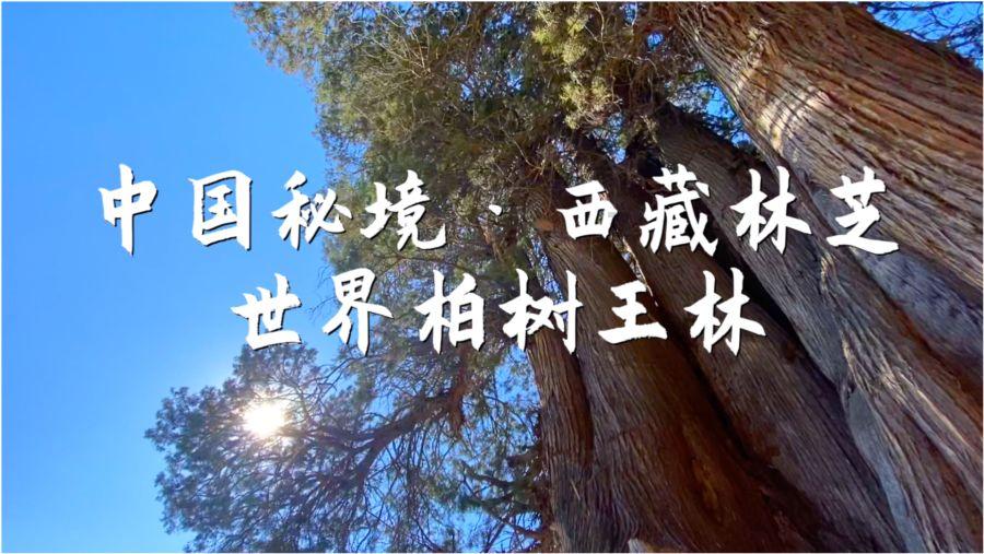 孩子已经上二年级学了，可是写字和同龄人比起来还是差了些，该怎么做？